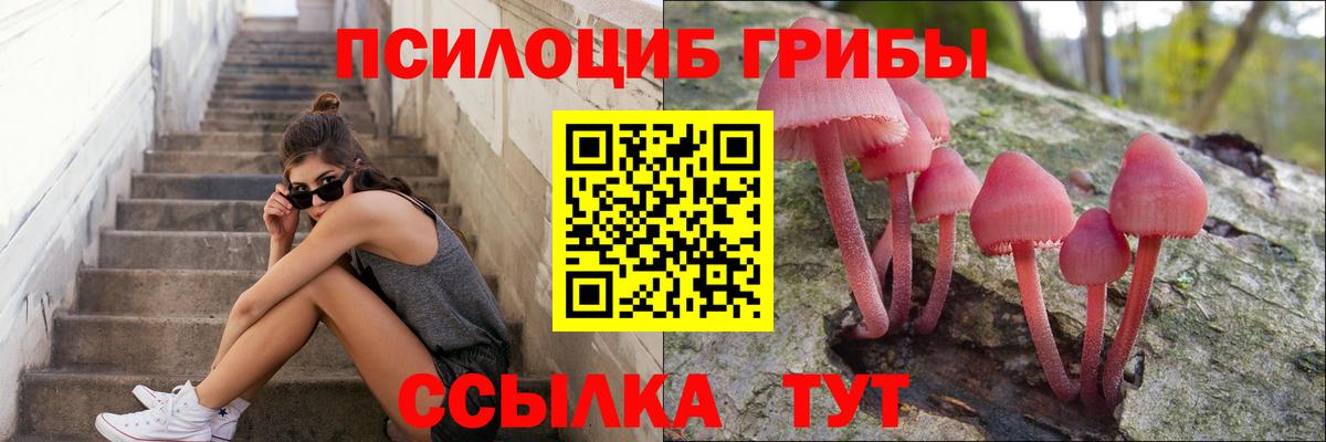 Лесной  Галлюциногенные грибы мухоморы  Вход с VPN  Псилоцибиновые грибы Cubensis 